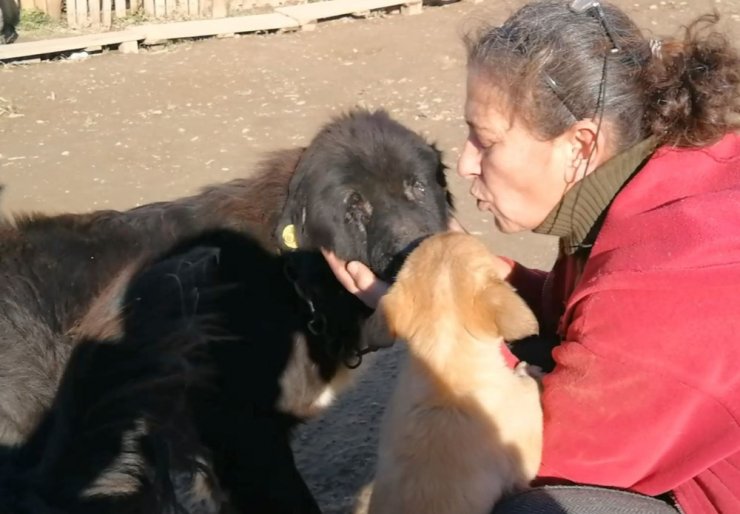 Doğuştan gözleri olmayan köpeğe evladı gibi bakıyor