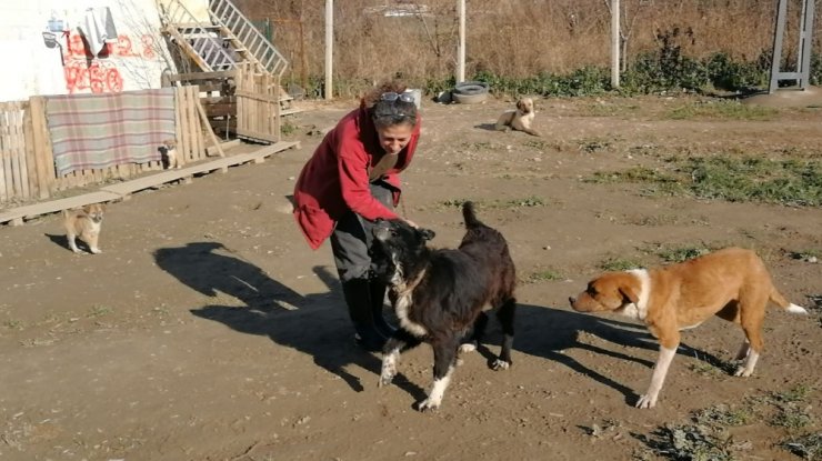 Doğuştan gözleri olmayan köpeğe evladı gibi bakıyor