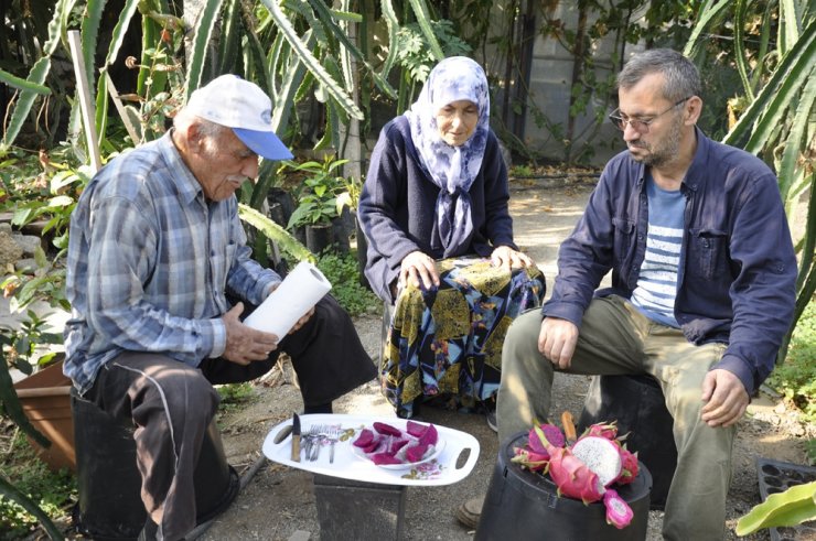 Bahçede kilosu, tezgahta tanesi 30 lira