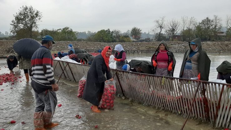 Kadınların soğuk suda ekmek mücadelesi