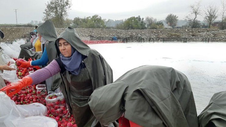 Kadınların soğuk suda ekmek mücadelesi