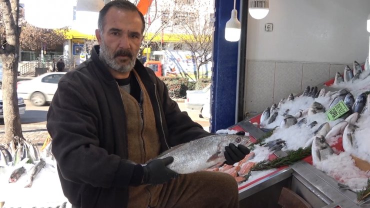 Padişahların vazgeçilmezi, denizlerin kraliçesi lüferin kilosu 120 lira