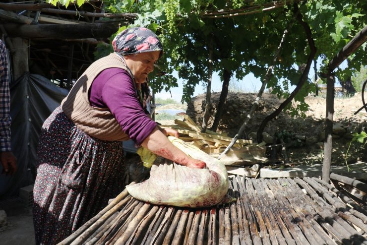 Şifa deposu karadutta hasat mevsimi