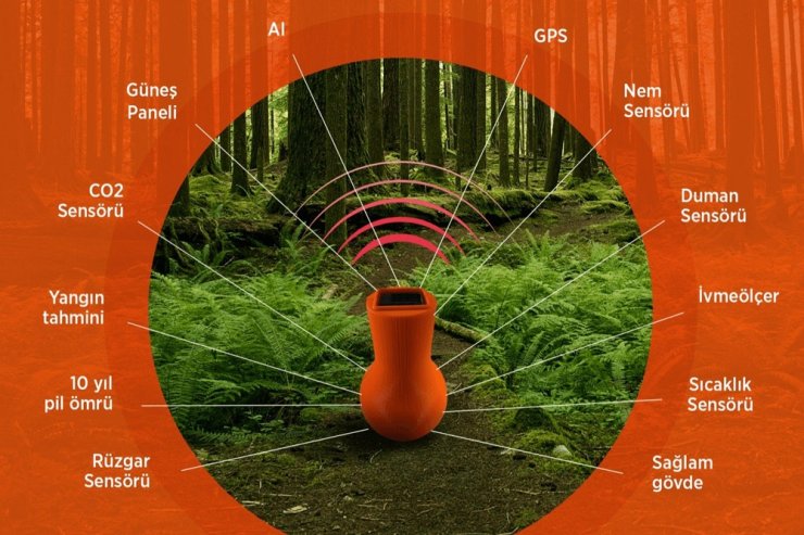 Orman yangınlarına karşı akıllı orman kapsülü geliştirildi