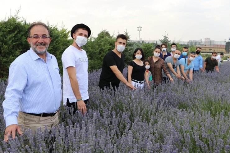 Parasızlıktan lavanta üretimine başlayan belediye 2 milyon lira gelir bekliyor