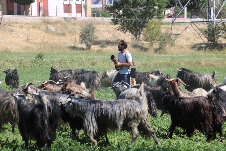 Fotoğraf tutkusu çobana, 25 bin TL harcattı