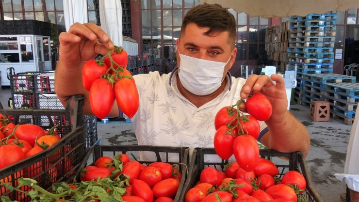 Domates bol olunca fiyatı düştü