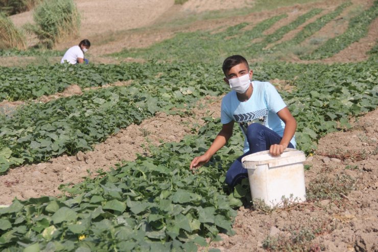 Koyun otlatıp, tarlada çalışan çocuklar fen lisesini kazandı