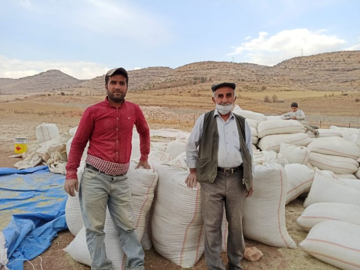 Siirt’te fıstık atığı birçok ailenin geçim kaynağı oldu