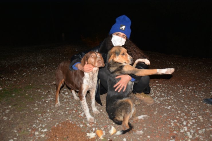 Ormana terk edilen sokak köpeklerini beslemek için kilometrelerce yol gidiyorlar