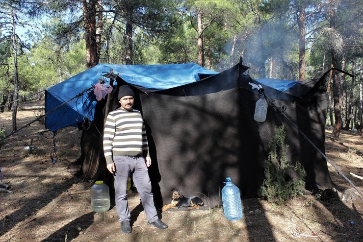 65 yıllık hayatının tamamını ormanda çadırda yaşayarak geçirdi