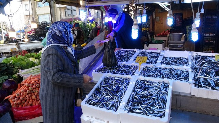 Hamsinin peşinden bu kez Gürcistan’a değil İğneada’ya gittiler