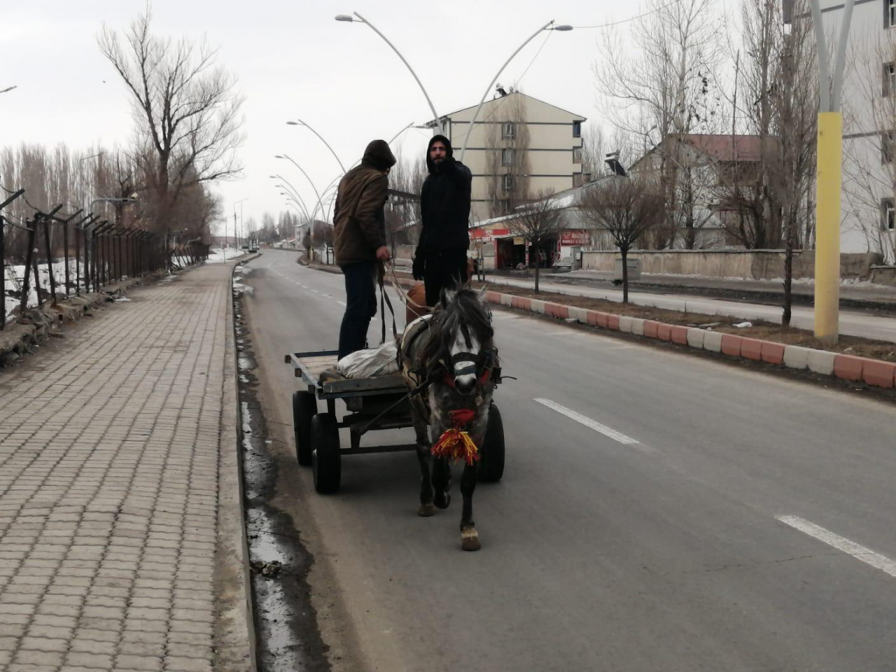 Ağrı'da at arabacılığı bitme noktasında