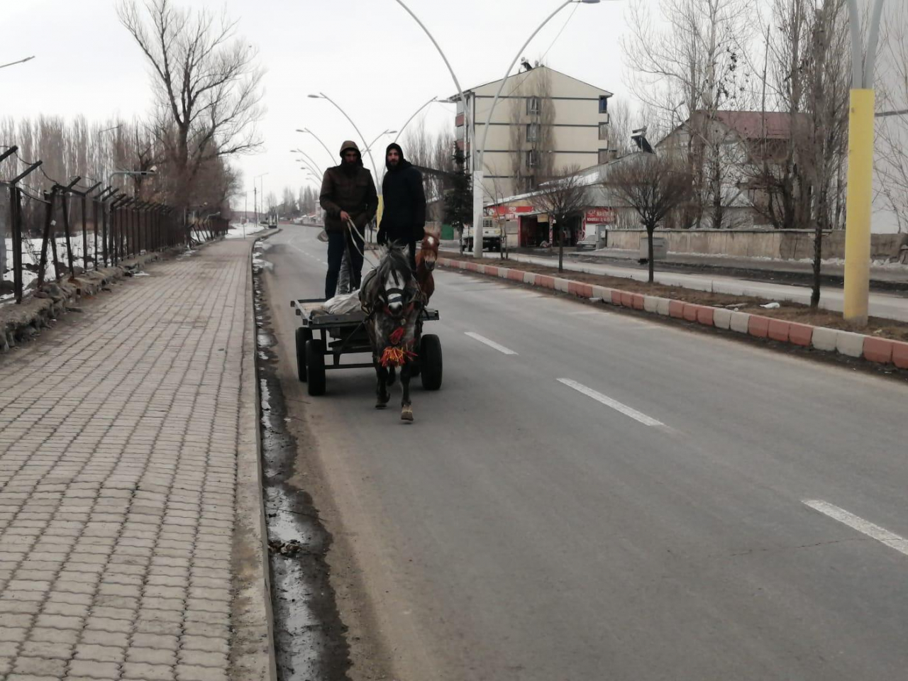 Ağrı'da at arabacılığı bitme noktasında